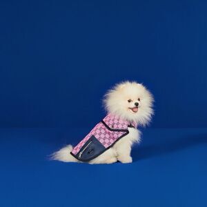 Dog Gucci  GG coatStylish Pink new with box